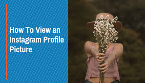 Either shows who you are or something you represent. How To View An Instagram Profile Picture Social Buddy