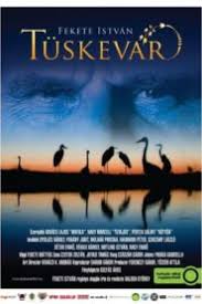 Karácsonyi krónikák előzetes meg lehet nézni az interneten karácsonyi krónikák teljes streaming. Karacsonyi Kronikak Online Teljes Film Magyarul Filminvazio Hu