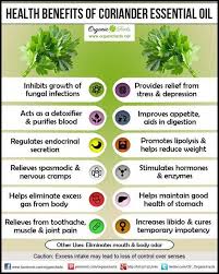 Put Merely Your Body And Mind Are Hardwired To Respond In Extremely Particular Ways To Different Scents And Coriander Essential Oil Essential Oils Organic Oil