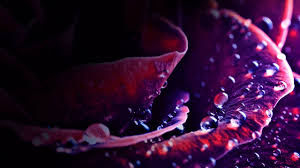 Free pc wallpapers and pc backgrounds for your computer desktop. Aesthetic Art Wallpaper Pc Novocom Top