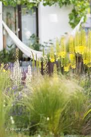 Blumen Fuer Insekten Im Naturnahen Garten Mit Bildern Gartenplanung Blumengarten Design Naturnaher Garten