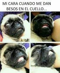 Últimas noticias de día internacional del beso. Rmx Radio Hoy Es El Dia Internacional Del Beso Y Lo Facebook