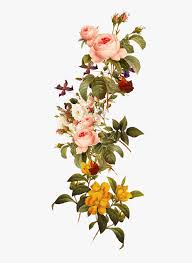 You can download them in psd, ai, eps or cdr format. Free Download Flowers Images Clipart Royalty Free Library Beautiful Flowers Png Transparent Png Transparent Png Image Pngitem