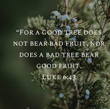 What does bear fruit expression mean? Facebook