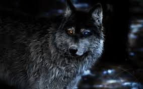 Awesome ultra hd wallpaper for desktop, iphone, pc, laptop, smartphone, android phone (samsung galaxy, xiaomi, oppo, oneplus, google pixel, huawei, vivo, realme, sony xperia. 189 Wolf Hd Wallpapers Hintergrunde Wallpaper Abyss Seite 5