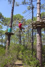 L Accrobranche A Medoc Ocean Terrasse Jardins Arbre