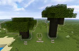 Oak Tree, Oak, Minecraft Architecture