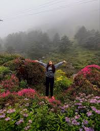 Niharika Konidela Shares an Amazing Nature Trip with Fans | Niharika  Konidela Shares an Amazing Nature Trip with Fans