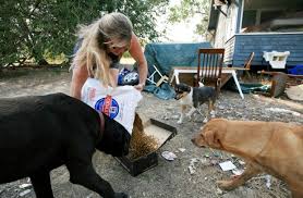Welcoming pets in north dallas, bluffview, uptown tx and more! Billings Woman Passionate About Placing Reservation Dogs In New Homes State Regional Missoulian Com