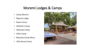 Before you hop on a plane, we would like to provide a bit. Moremi Game Reserve Camping