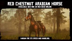 Finding the white arabian in rdr2 is free (image: Alice Ruppert On Twitter But Let S Get Back To The Arabian Part Of That Red Chestnut Arabian Horse That Is Actually A Blood Bay Arabian Horses Are Easily Recognized By Their