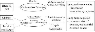 How is breast cancer detected and diagnosed? Diet Menopause And The Risk Of Ovarian Endometrial And Breast Cancer Proceedings Of The Nutrition Society Cambridge Core