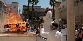 Image result for Jerusalem Temple sacrifices