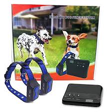 You how to install invisible fence. Floyd Invisible Electric Fence For Dogs Perimeter Fence Prevents Pets Escaping Easy To Use Maintenance Free Underground System All Inclusive For Quick Installation Superb Follow Up Support Pets Nerds
