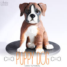 My friends asked me how i planned to spoil my dogs for national spoil your dog day, and of course the answer included baking. Puppy Dog Cake Tutorial Avalon Cakes
