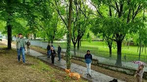 Zona degradata diventa area cani | Via Palladio | Verona