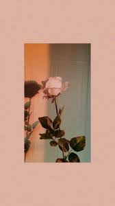 Flower Aesthetic Wallpapers Aesthetic Iphone Wallpaper Iphone Background Wallpaper
