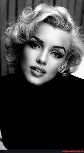 9 Beautiful phofos ideas in 2024