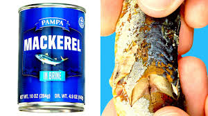 1 Pampa Mackerel In Brine Tasty Food From Dollar Tree Youtube