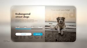 dailyui 032 google axtaris street dogs washing machine day