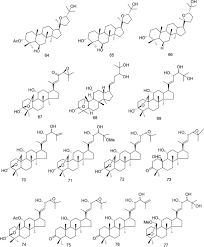 Image result for Cordia goetzei