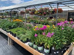 If you call denver or the iverness apartments home, then you probably know a bit about the denver botanic gardens already. Hilltop Gardening Rocky Mountain Garden Center