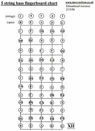 notes about the bass guitar fingerboard