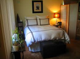 Bedroom design ideas for college students. Apartment Bedroom Decorating Ideas For College Students