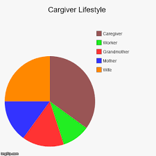 cargiver lifestyle imgflip