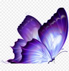 This video from www.temporarytattoos.in helps you understand the application of temporary tattoo stencils. Butterfly Tattoo Designs Png Transparent Images Purple Butterfly Png Image With Transparent Background Toppng