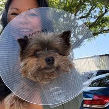 WINTER PARK VETERINARY HOSPITAL