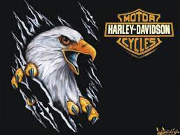 Harley Davidson Eagle Wallpaper 7036 Hd Wallpapers In Bikes Imagesci Harley Davidson Art Harley Davidson Harley Davidson Pictures