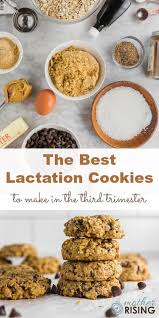 The Best Lactation Cookies To Make In The Third Trimester Recipe Lactation Cookies Food Breastfeeding Foods