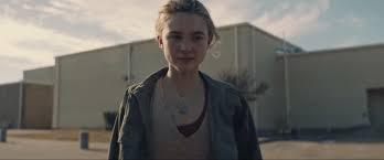 Zoe hull, în vârstă de 17 ani, își folosește inteligența, abilitățile de supraviețuire și compasiunea pentru a lupta pentru viața ei și a colegilor săi de clasă, împotriva unui grup de atacatori. Run Hide Fight 2020 Photo Gallery Imdb