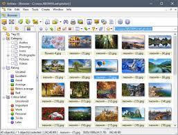 Best photo viewer, image resizer & batch converter for windows. Xnview 2 51 1 Xnviewmp 1 11 2 With Crack Latest 2021 Free