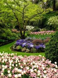 Learn To Make Tulips Last Year Round Super Easy I Love It Beautiful Gardens Gorgeous Gardens Dream Garden