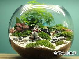 鱼缸水族箱造景装饰青龙石假山石水草造景假山石头小号造景石新品 淘宝网 summer vegetables garden vertical vegetable gardens organic gardening pest control