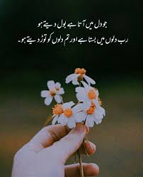 Pin By Rabyya Masood On Urdu Poetry Urdu Poetry Flowers Plants