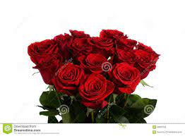 Pin By Mahesh Donga On Flowers In 2021 Flowers Red Roses Flowers Bouquet