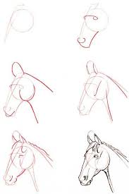 Horses Horse Drawings Animal Drawings Horse Art