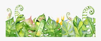 Hand Painted Fresh Leaves Png Transparent Transparent Background Tropical Leaf Png Free Transparent Clipart Clipartkey The set of high quality hand painted watercolor tropical leaves and elements images in bright and fresh color palette. hand painted fresh leaves png