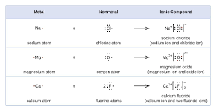 A Table Is Shown With Four Rows The Header Row Reads Metal Nonmetal And Ionic Compound The S Ionic Compound Molecular Geometry Electron Configuration