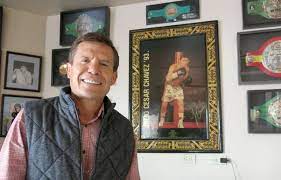 Was a wbc middleweight champion. Julio Cesar Chavez Net Worth 2021 Age Height Weight Wife Kids Biography Wiki The Wealth Record
