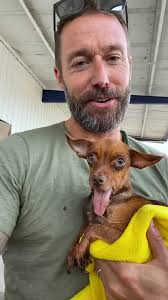 Guy Finds A Broken Little Dog And Turns Her Entire World Around