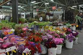 8:00 am to 4:00 pm. San Francisco Flower Market Sweet Lilacs