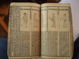 Handwritten Chinese Medical Book Over 150 Years Old Beautiful