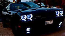 Pin On The Black Pearl