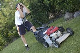 Maybe you would like to learn more about one of these? Lawn Care Landscaping Services Belgrade Waterville Augusta Me