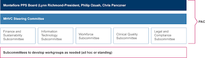 governance structure mhvc