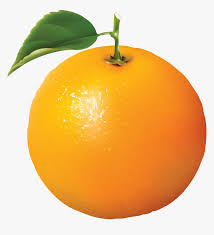 The orange is the fruit of various citrus species in the family rutaceae (see list of plants known as orange); Oranges Png Image Orange Fruit Transparent Png Kindpng